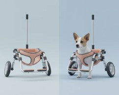 Silla de Ruedas para Perros Pequeños — Soporte de Movilidad Trasera